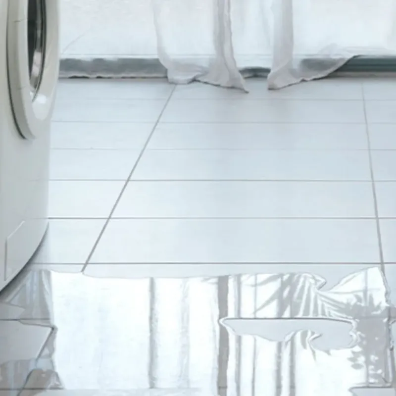 Appliance Leak Cleanup in Teays Valley, WV