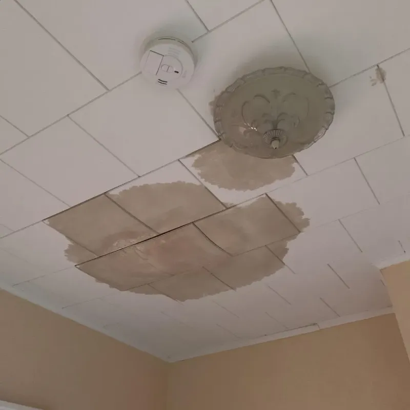 Ceiling Water Damage Repair in Teays Valley, WV