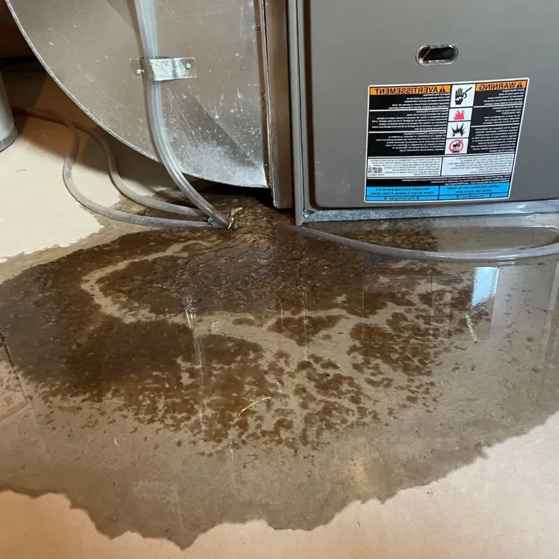 Pipe Burst and Leak Restoration in Teays Valley, WV