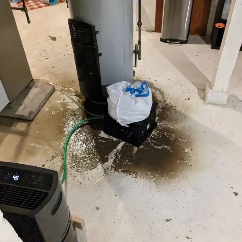 Sewage Backup Cleanup Service in Teays Valley, WV